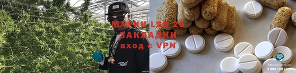 дурь Инсар