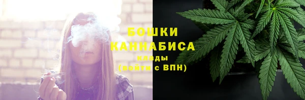 дурь Инсар
