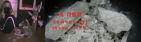 дурь Инсар