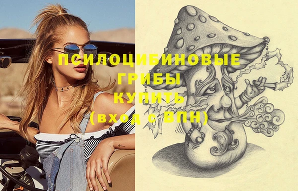 дурь Инсар