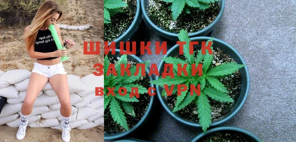 дурь Инсар