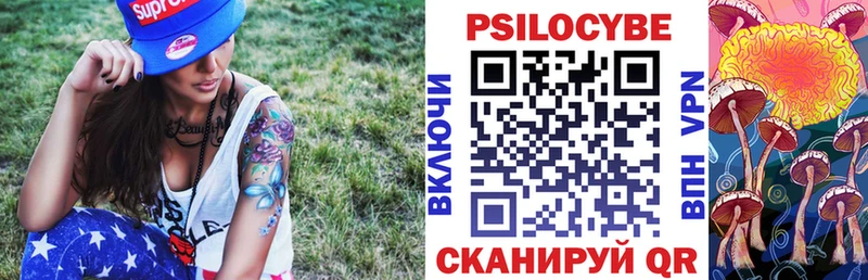 Купить закладки  Елизово  Псилоцибиновые грибы Magic Shrooms 